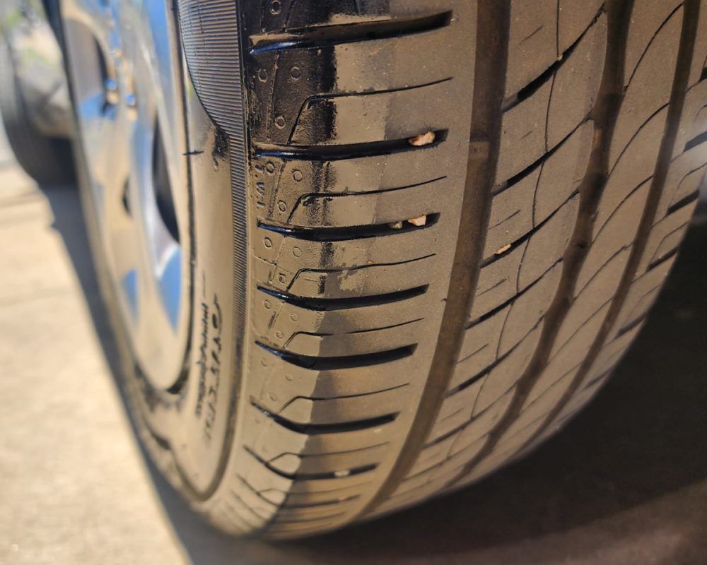 WhatsApp Image 2025-11-19 at 3.14.03 PM (2)